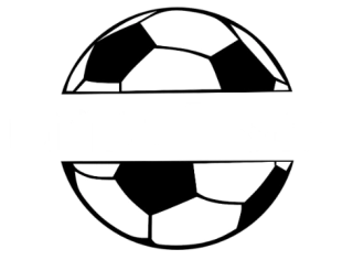 Camisa Pesada Imports