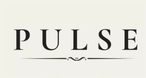 Consultoria Pulse