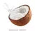 Leite de Coco em Pó (não vegano) na internet
