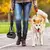 Pegador Dobrável de Fezes para Cães - Praticidade e Higiene nos Passeios - comprar online