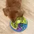 GiraPet - Alimentador Lento Inteligente em 3 Andares para Cães - comprar online