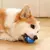 PulaPet - Bola Interativa com Movimento Automático para Cães - PromoMix