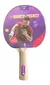 Paleta Ping Pong Sensei 1 Estrella