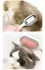 Imagem do Escova PET LOVE - 3 em 1