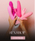 Banner de Lili Moda Íntima Lingerie