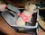 Imagem do Cadeirinha para Cachorros- TrueSeat