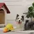 Imagem do Brinquedo Interativo de Pato para Cães