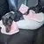 Cinto de Segurança para Cachorros – Retrátil, Ajustável e Seguro para Viagem