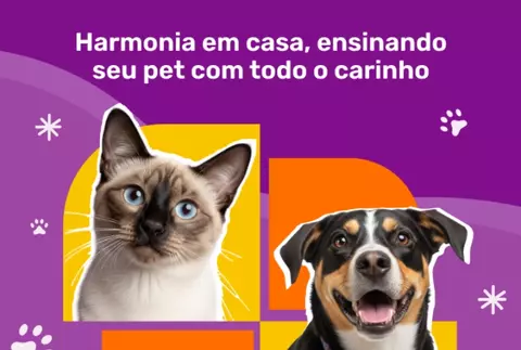 Banner de Pet Hosp Solutions