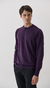 Sweater Carl Uva en internet