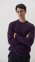 Sweater Carl Uva - comprar online