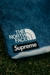 THE NORTH FACE SUPREME