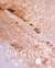 Highlighters - Cygnus - Starlight Collection - comprar online