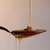 NECTAR DES DIEUX en internet