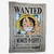 Kit Balde + Manta One Piece na internet