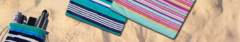 Banner de la categoría Mochi Toalla