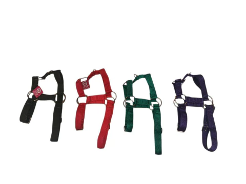ARNES NYLON REFORZADO T3 - comprar online