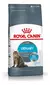 URINARY CARE CAT X1,5KG - comprar online