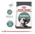 ROYAL CANIN GATO HAIRBALL CARE 1.5 KG en internet
