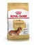 ROYAL CANIN DACHSHUND ADULTO X3 KG - comprar online