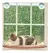 CUNA VENTANA - PATAGONIA PET CLUB