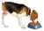 COMEDERO COMELENTO - PATAGONIA PET CLUB