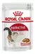 POUCH ROYAL CANIN GATO INSTINCTIVE - comprar online
