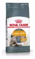 ROYAL CANIN GATO HAIR & SKIN 2 KG - comprar online