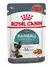 POUCH ROYAL CANIN GATO HAIRBALL CARE - comprar online