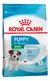 MINI PUPPY X3KG - comprar online