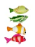 PELUCHE PEZ - PATAGONIA PET CLUB