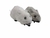 RATON A FRICCION - tienda online
