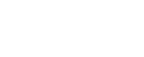 Suplementos ZN