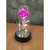 Rosa Eterna para Iluminar o Seu Relacionamento na internet