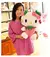 Imagem do Pelúcia Hello Kitty 22cm perfeita