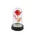 Rosa Eterna para Iluminar o Seu Relacionamento - loja online