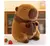 Pelúcia de Capivara Fofa 35cm