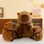 Pelúcia de Capivara Fofa 35cm - comprar online