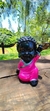 Buda Baby Preto e Pink – Pequeno, Sofisticado e Inspirador na internet