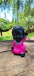 Buda Baby Preto e Pink – Pequeno, Sofisticado e Inspirador
