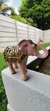 Elefante Indiano Ouro Envelhecido – Símbolo de Sorte e Prosperidade - Salmar