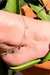 Tornozeleira de Estrelas de Zircônias Banhado em Ouro 18k na internet