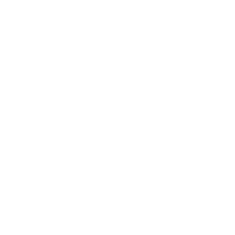 BBQ Grill