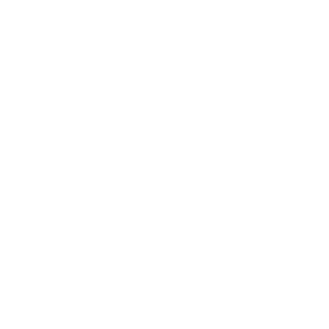 BBQ Grill