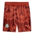 Short Palmeiras Goleiro II 25/26 - Masculino Puma - Marrom