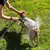 Ducha para Banho Doggo Pet Jet - loja online