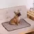 Imagem do Tapete Gelado | Conforto térmico para seu pet nos dias mais quentes!