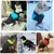 Estilo Pet – Casaco Impermeável e Quentinho | Proteção Total para Dias Frios e Chuvosos! - loja online