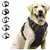 Colete ajustável / cinta peitoral para cães - comprar online