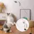 Simulação pássaro interativo ideal para seu gato brincar - comprar online